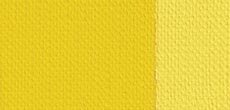 Cadmium Yellow Medium